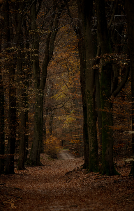 Herfst