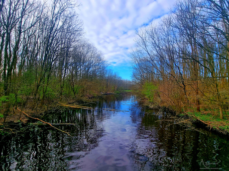 landschap spaarnwoude