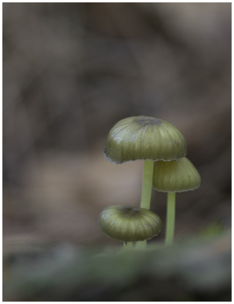 Keng oq eshak Juda qattiq gangbang