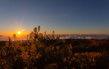 Shine above the clouds