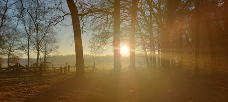 Ochtend zon