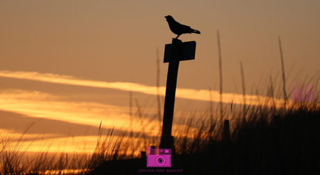 Zonsopkomst op strand in Zeeuws-Vlaanderen