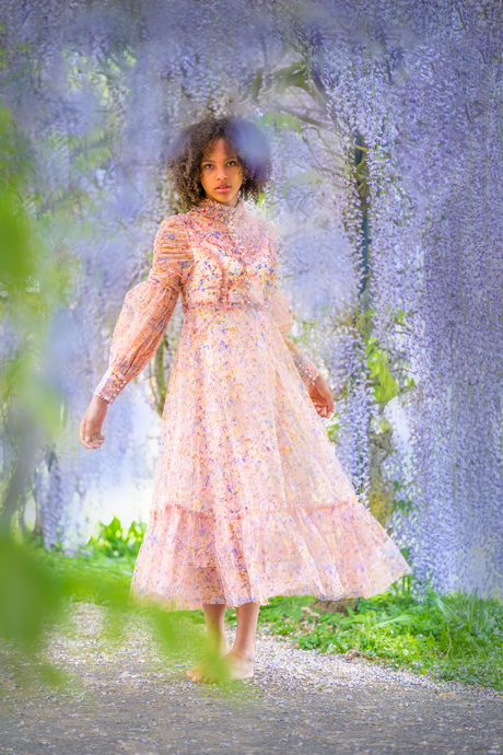 Wisteria whispers what hearts can't say