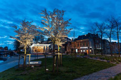 Dudok tussen de bloesem