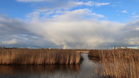 Somewhere over the rainbow