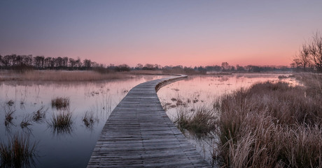 Net voor de zonsopkomst