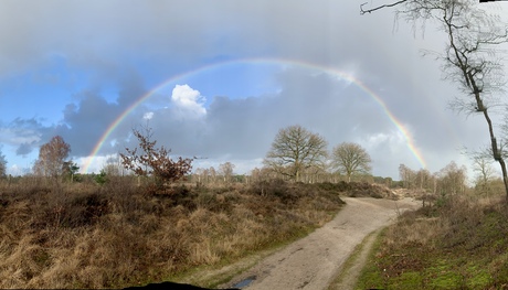 Aan welke kant staat die pot met goud ?