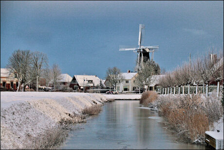 Stormvogel in wintertooi