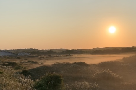 Zonsopkomst in duinen Bergen aan Zee