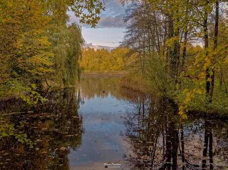 Gouden Randen: Herfstreflectie op Landgoed Ekenstein.