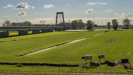 Heusdense Brug