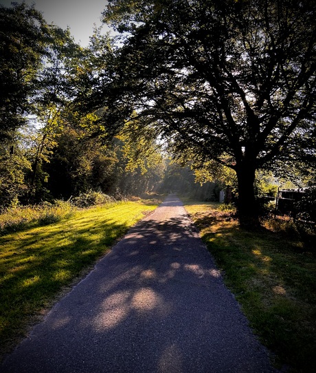 Ochtend gloren