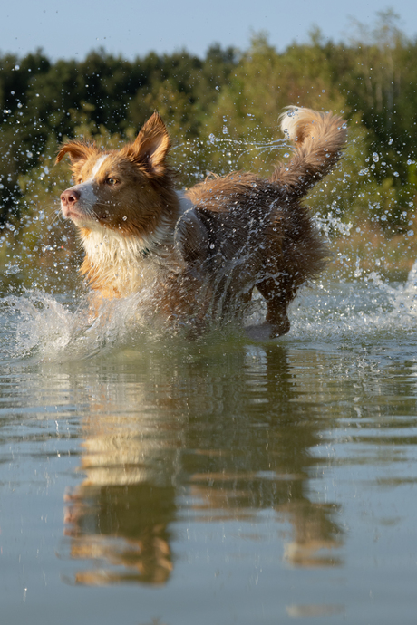 Water jump!