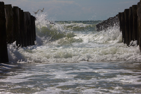 strand Domburg