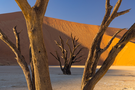 Dead Vlei!