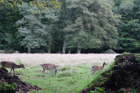 herfst