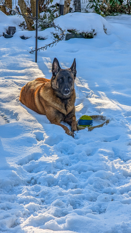 Genieten in de sneeuw 