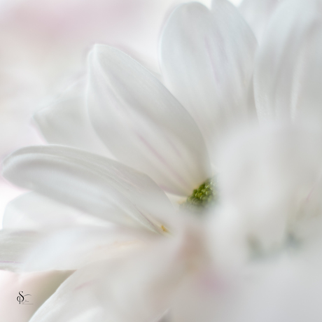 Kleine scherpte-dieptepunt