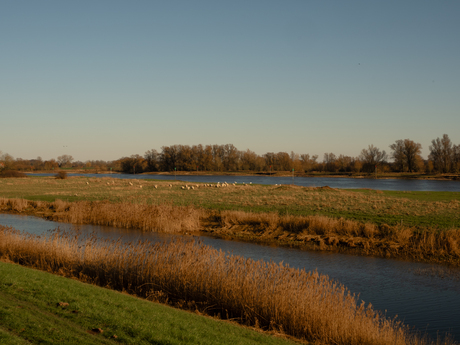 Hank en IJssel