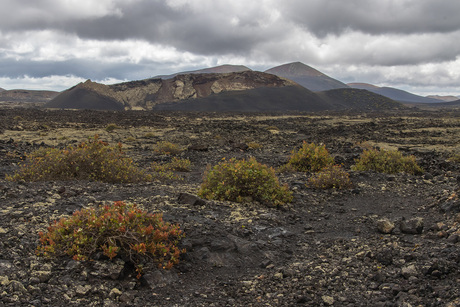 Vulkaanlandschap