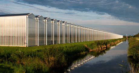 Kassen in de polder