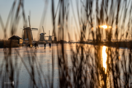 Hollands landschap