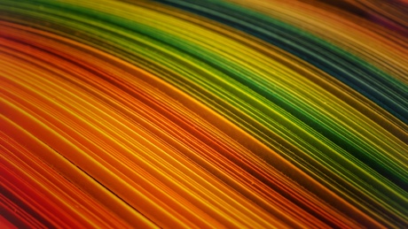 Regenboog macro