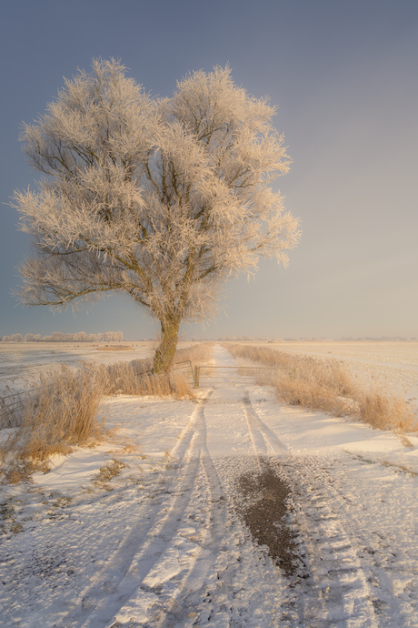 Winter yn Fryslân! V
