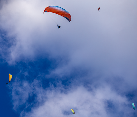 paragliders