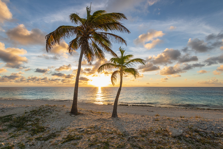 Pink Beach Bonaire