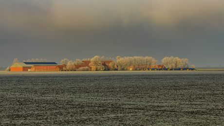 Winter in de polder.