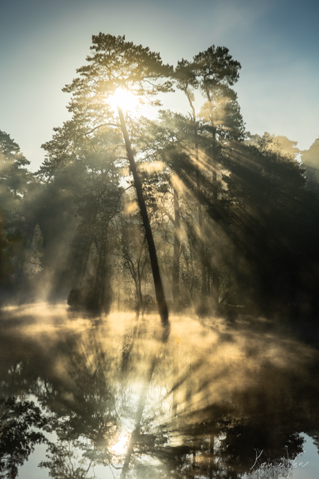 Spiegelende zonneharp