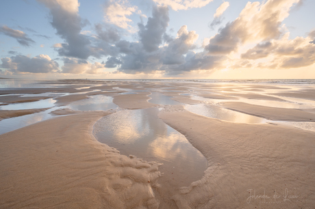 Poeltjes met reflectie 