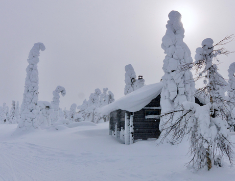 Winters Lapland