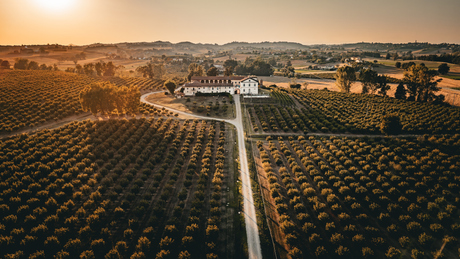 “Gouden uren in het hart van Piemonte.”