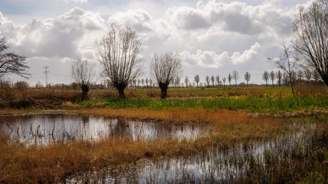 Veenputten vol water