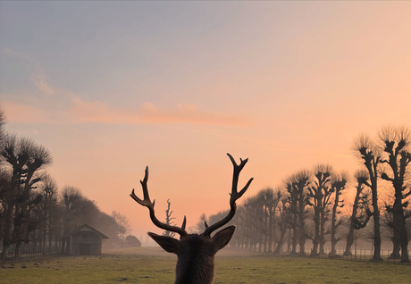 wachten tot de zon komt