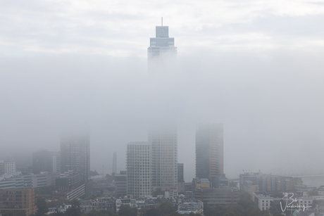 Dichte mist in Rotterdam 