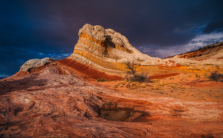 Lollipop Rock – White Pocket 