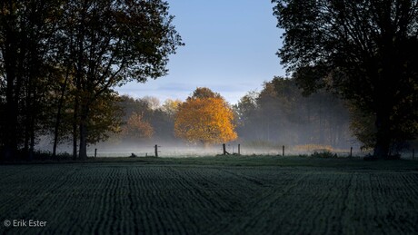 Herfst 