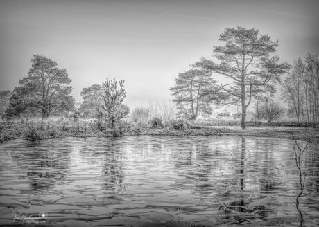 Bevroren scherven op het vennetje.