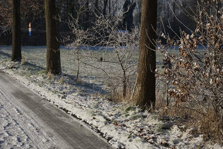 natuur wandeling