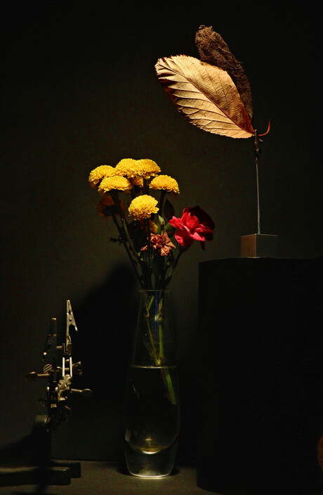 ......stilleven.....