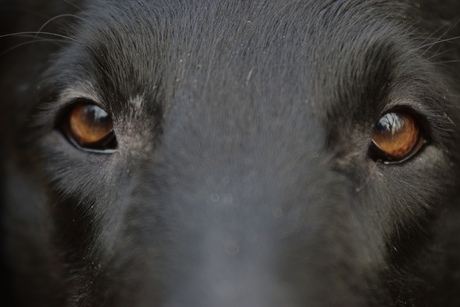 Take a look through my soul