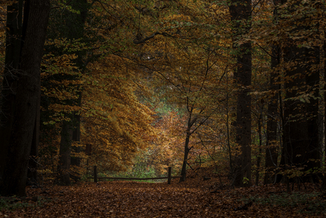 Herfst een einde 