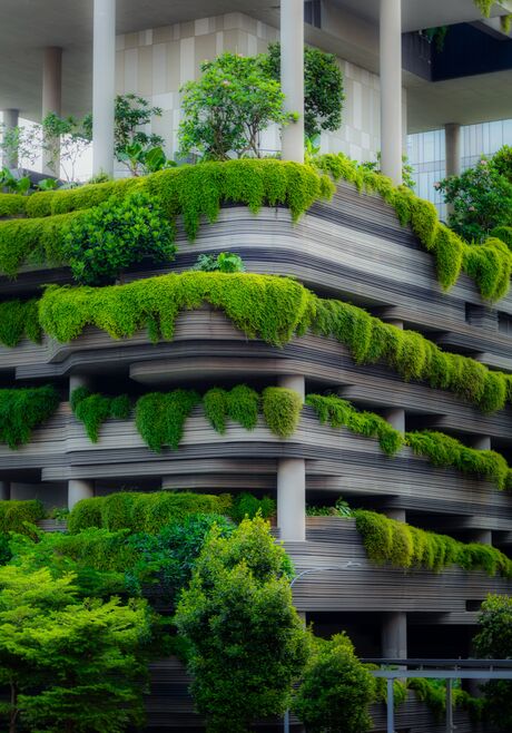 Groen Architectuur singapore 