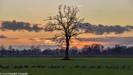 Zonsondergang