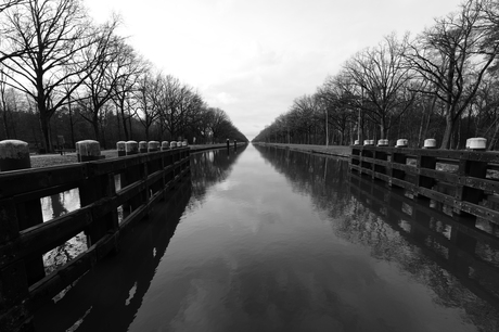 Om en bij "Brug Groene woud"