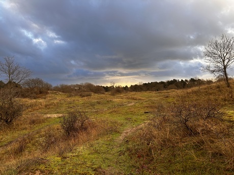 Er is in donkere periodes altijd weer licht aan de horizon 