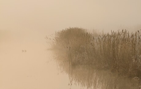 Water schildert de morgen
